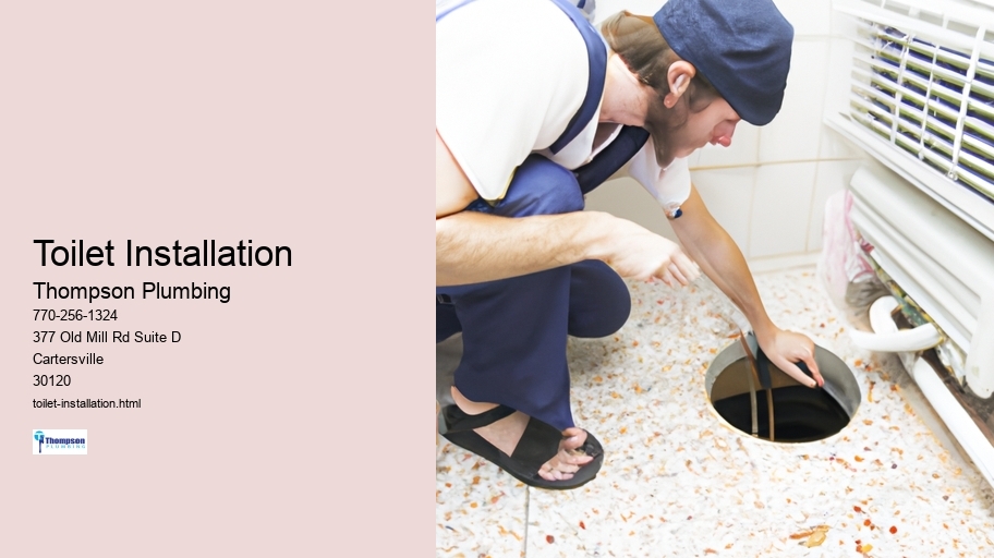 Toilet Installation
